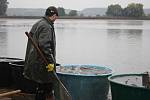 Výlov Žehuňského rybníka začal, už nyní mají rybáři odlovené stovky metráků ryb.