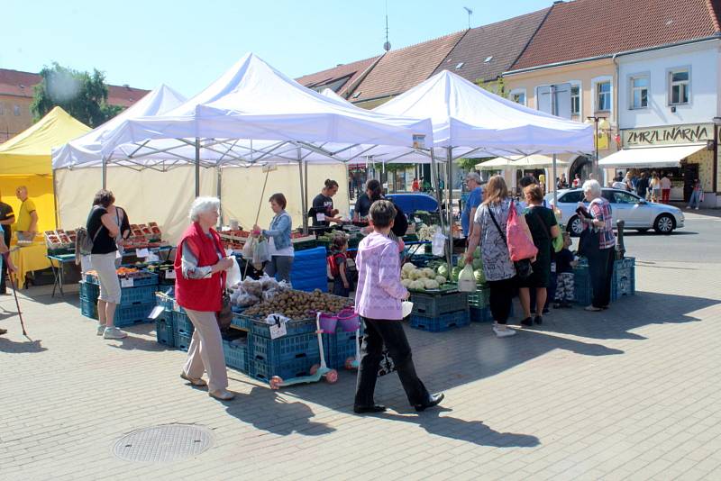 Farmářské trhy na poděbradském náměstí.