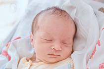 Sofie Králová se narodila v nymburské porodnici 13. října 2022 v 3:29 hodin s váhou 2430 g a mírou 44 cm. S maminkou Monikou, tatínkem Stanislavem a sestřičkou Veronikou (3,5 roku) holčička odjela do Chlumce nad Cidlinou.