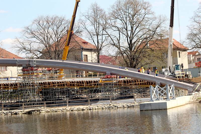 Oblouk, který bude nejsilnějším vizuálním prvkem lávky, roste na břehu u Hrabalova posezení.