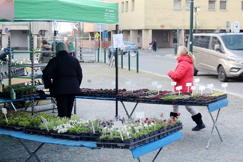 Farmářské trhy na náměstí Přemyslovců v Nymburce.