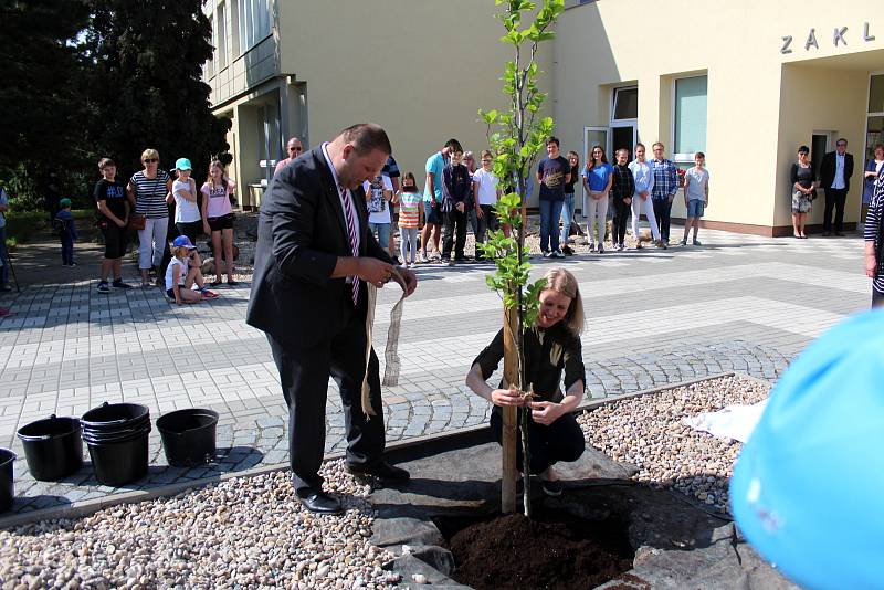 Buk před vstupem do školy bude připomínat osobnost Olgy Havlové.