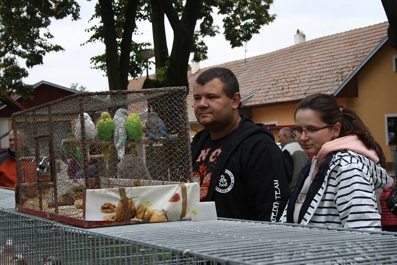 Setkání příznivců obce Straky se těšilo velkému zájmu místních i návštěvníků z okolí.