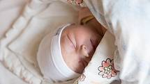 Nela Brynychová, Nymburk. Narodila se12. listopadu 2019 v 2.08 hodin, vážila 3 460g a měřila 48 cm. Prvorozenou dceru očekávala maminka Adéla a tatínek Josef.