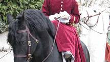 Na výstavě Jaro s koňmi v Lysé nad Labem se představili koně mnoha plemen.