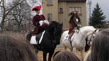 Na výstavě Jaro s koňmi v Lysé nad Labem se představili koně mnoha plemen.