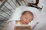O ADÉLCE SE VĚDĚLO. ADÉLA BRABCOVÁ se vypravila na svět 28. června 2017 v 21.48 hodin. První miminko rodičů Kamily a Michala ze Dvorů vážilo  2 830 g a měřilo 47 cm. 