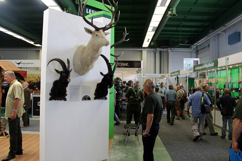 Až do neděle potrvá na lyském výstavišti Natura Viva.