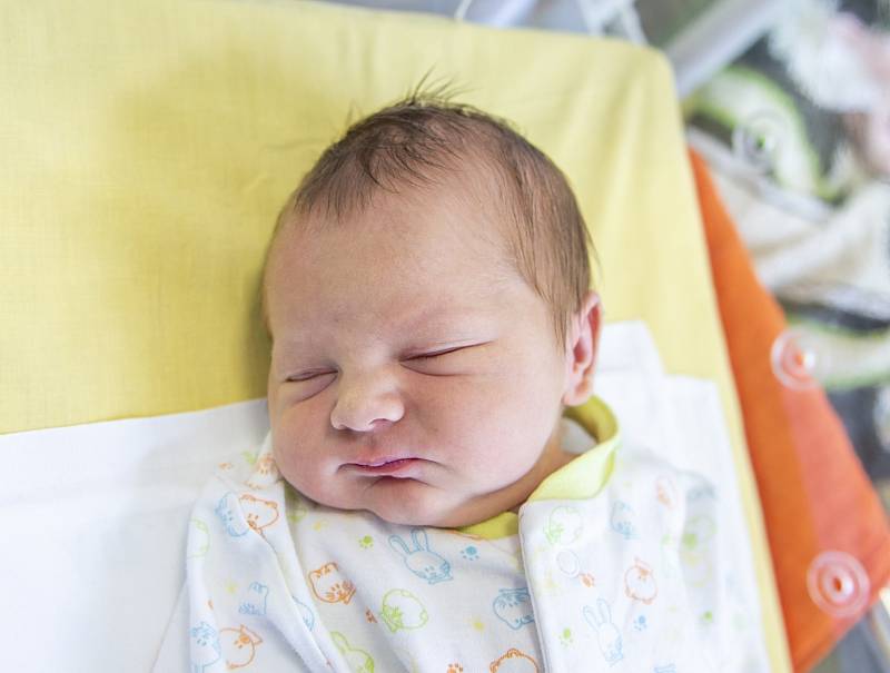 Adéla Breuerová z Holenic se narodila v nymburské porodnici 23. srpna 2021 s váhou 3770 g. Z holčičky se raduje maminka Denisa, tatínek Tomáš, bráška Tomáš (5,5 let) a sestřička Marie Anna (3 roky).