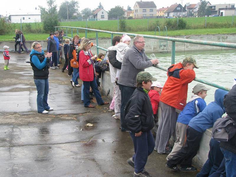 Neckyáda v Kamenném Zboží pobavila diváky na místním koupališti. Někteří se dokonce vykoupali