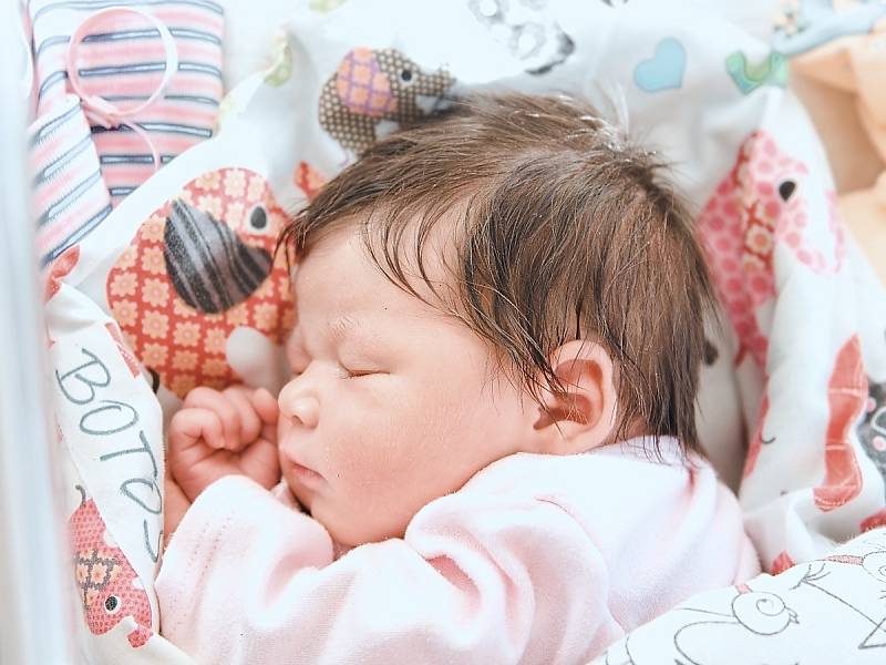 Štěpánka Botoš se narodila v nymburské porodnici 12. ledna 2023 v 20:58 hodin s váhou 3730 g a mírou 48 cm. V Milovicích bude prvorozená holčička bydlet s maminkou Veronikou a tatínkem Štefanem.