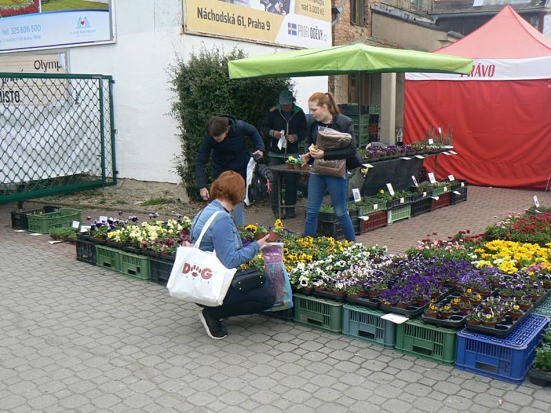 Výstaviště v Lysé hostilo výstavy Zemědělec, Jaro s koňmi a Festival dechovky.