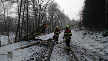 Nymburští drážní hasiči pomáhali u nehody, při níž vlak najel na spadlý strom. Foto: archiv drážních hasičů