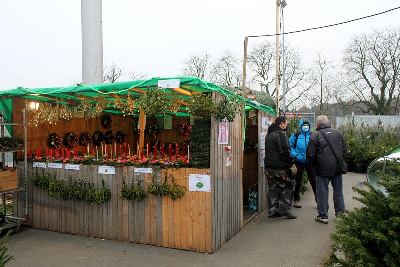 Před některými obchodními řetězci už byl spuštěn prodej vánočních stromků.