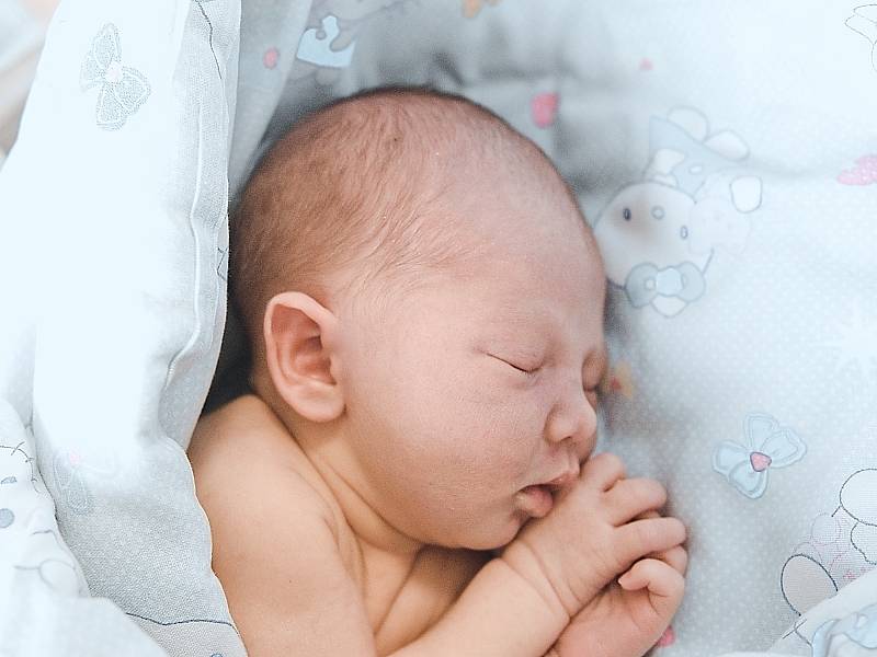Sebastien Farkaš se narodil v nymburské porodnici 21. listopadu 2022 v 22:09 hodin s váhou 3170 g a mírou 48 cm. Z prvorozeného chlapečka se v Poděbradech raduje maminka Kristýna a tatínek Jakub.