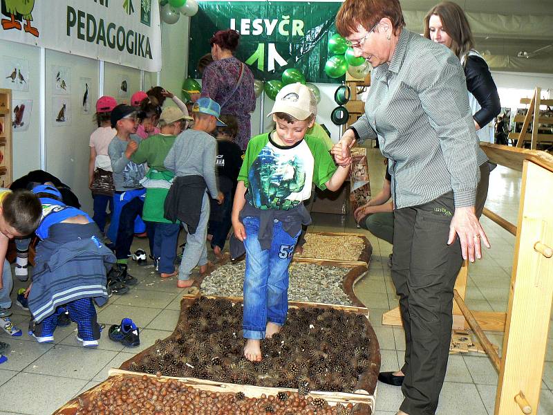 Jedna z každoročně nejnavštěvovanějších výstav v Lysé nad Labem Natura Viva byla slavnostně zahájena.