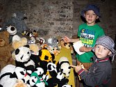 Výstava Kouzelní medvědi ve sklepě pod nymburskou radnicí