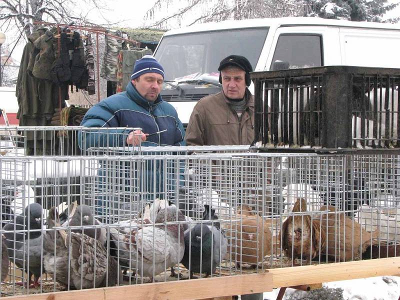 V Lysé ještě v sobotu a v neděli trvá výstava Náš chovatel