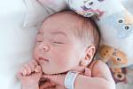 Nela Lebedová se narodila v nymburské porodnici 26. března 2022 v 13:30 hodin s váhou 3260 g a mírou 49 cm. S maminkou Kateřinou, tatínkem Jakubem a bráškou Adamem (2,5 roku) bude holčička bydlet ve Svitavách.