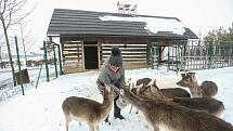 Zoo v Chlebech na Nymbursku ve středu 17. února 2021.