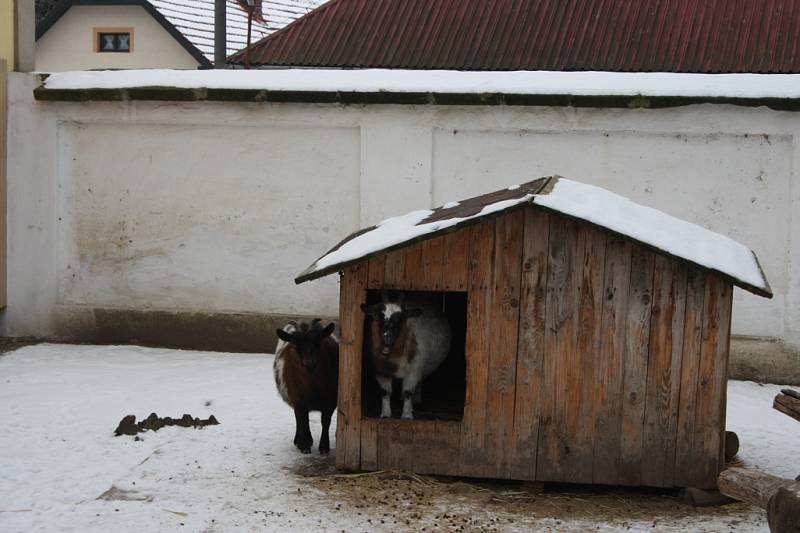 Chlebská zoo v zimě.