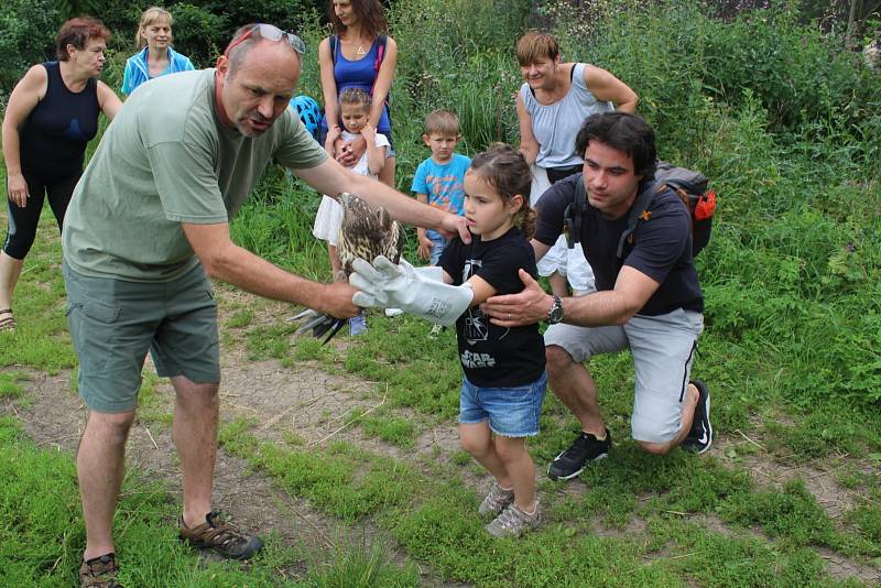 Z vypouštění uzdravených zvířat.