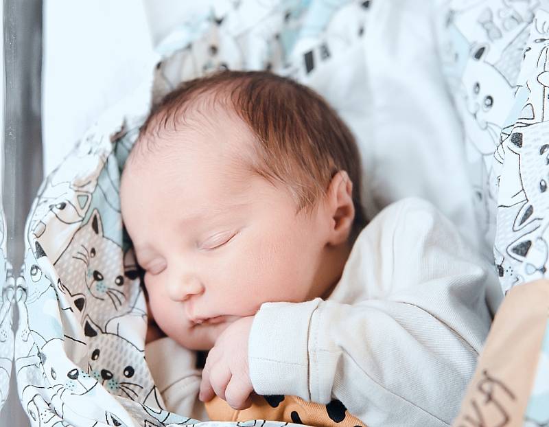 Ema Koucká z Poděbrad se narodila v nymburské porodnici 25. ledna 2022 v 8:24 hodin s váhou 2800 g a mírou 46 cm. Prvorozená holčička bude bydlet s maminkou Anetou a tatínkem Markem.