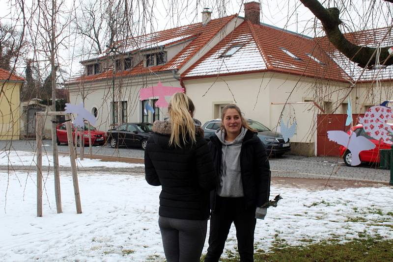 Ptačí sněm na počest Václava Havla vznikl na stromě Na Rejdišti.