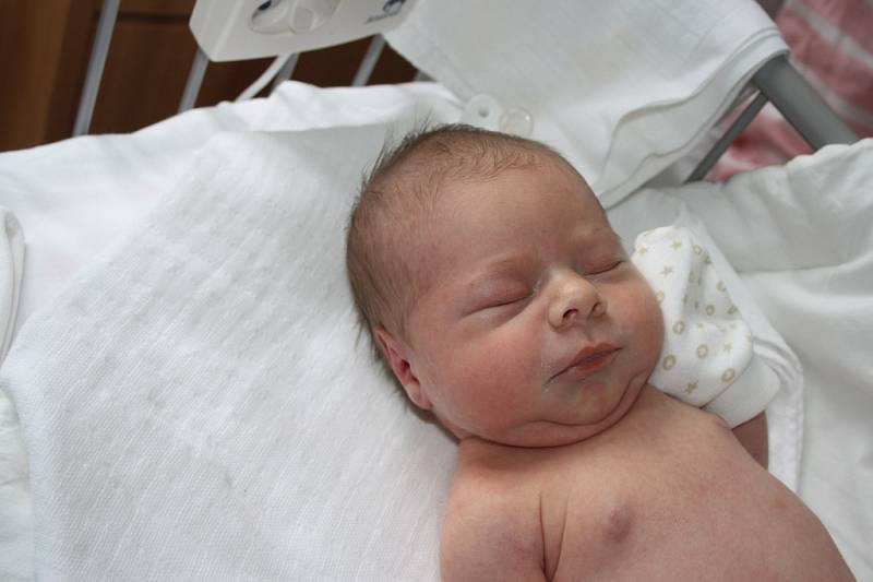 KRÁLOVNIČKA ELIŠKA. ELIŠKA DOMIÁNOVÁ se narodila 12. srpna 2016 tři minuty po 19. hodině. Vážila 3 040 g a měřila 46 cm. Maminka Tereza a táta Petr z Nymburka věděli o holčičce předem.