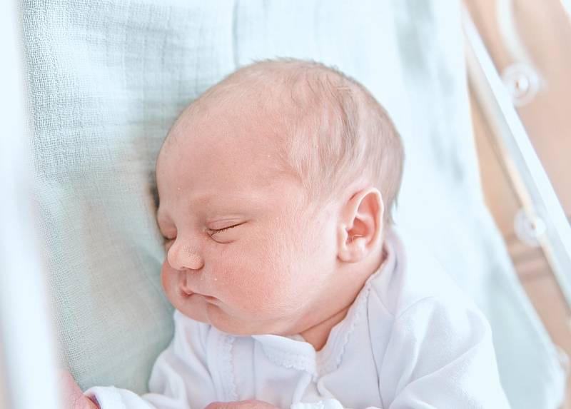Vilém Kučera se narodil v nymburské porodnici 16. dubna 2022 v 14:15 hodin s váhou 3650 g a mírou 49 cm. V Nymburce bude chlapeček vyrůstat s maminkou Klárou, tatínkem Pavlem a sestřičkou Medou (16 měsíců).