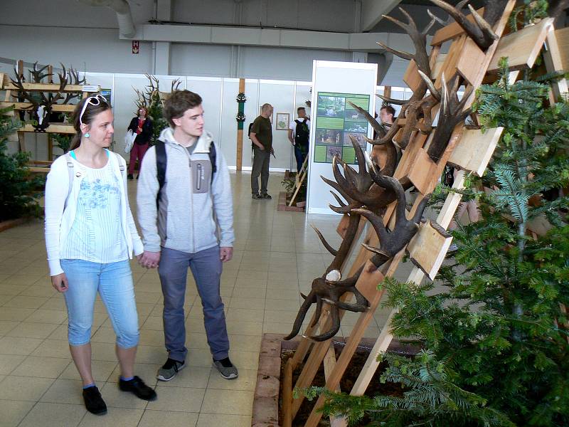 Jedna z každoročně nejnavštěvovanějších výstav v Lysé nad Labem Natura Viva byla slavnostně zahájena.