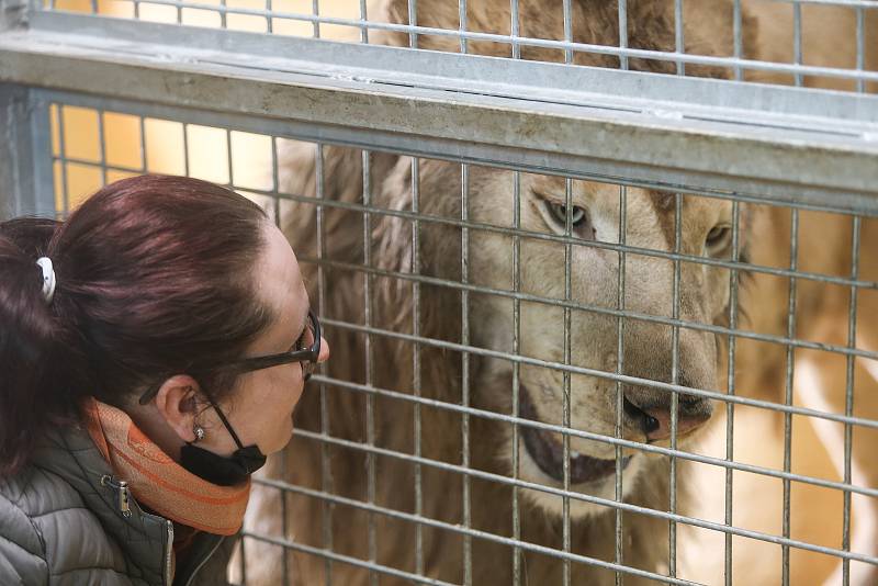 Zoo v Chlebech na Nymbursku ve středu 17. února 2021.