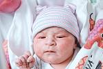 Emílie Brychová se narodila v nymburské porodnici 10. července 2022 v 20:50 hodin s váhou 3380 g a mírou 48 cm. Na prvorozenou holčičku se v Nymburce těšila maminka Kamila a tatínek Matěj.