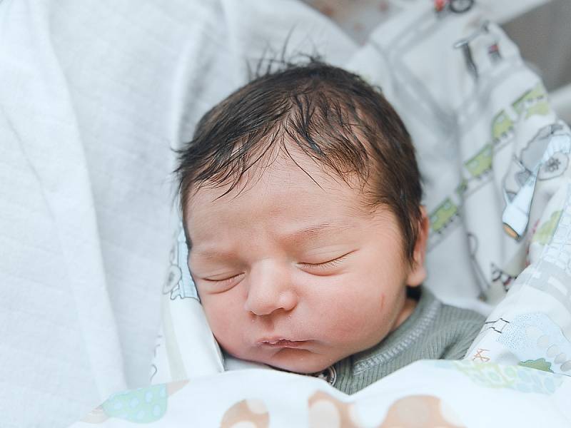 Jakub Procházka se narodil v nymburské porodnici 27. listopadu 2022 v 5:06 hodin s váhou 3680 g a mírou 50 cm. V Křečkově prvorozeného chlapečka očekávala maminka Markéta a tatínek Martin.