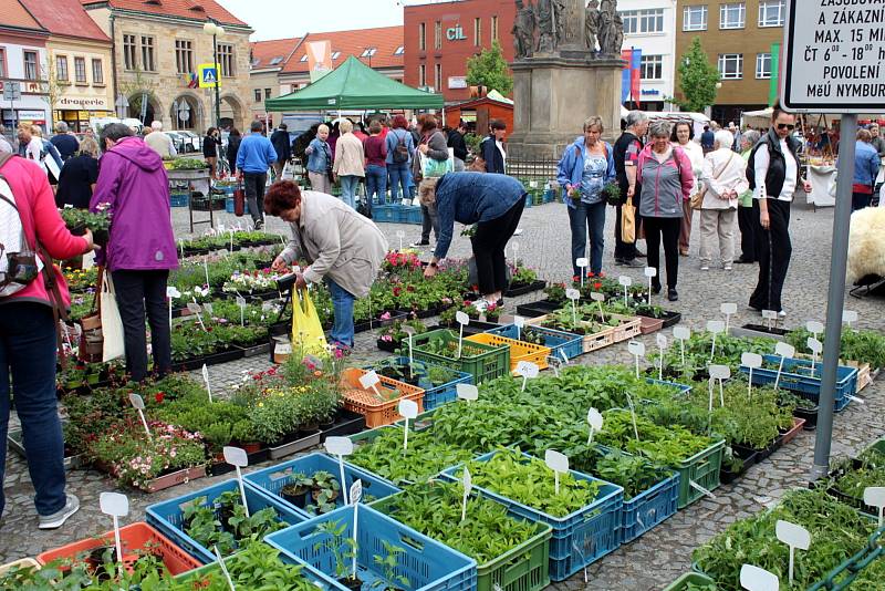 Farmářské trhy na náměstí Přemyslovců v Nymburce.