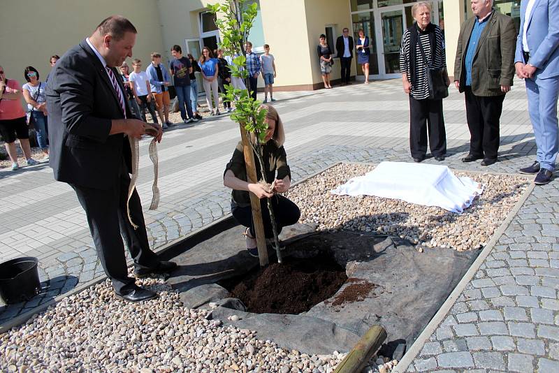 Buk před vstupem do školy bude připomínat osobnost Olgy Havlové.