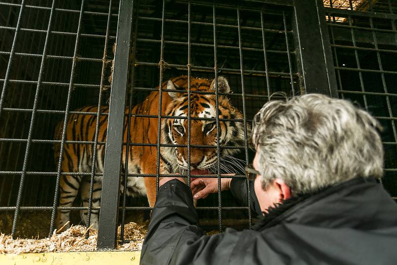 Zimoviště cirkusu JO-JOO ve Zbožíčku u Nymburka