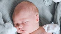 Mikuláš Rozvoral se narodil v nymburské porodnici 2. července 2022 v 0:43 hodin s váhou 3600 g a mírou 49 cm. Maminka Veronika a tatínek Radek se na prvorozenou holčičku těšili ve Všechlapech.