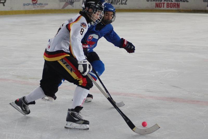 Na nymburském zimním stadionu se uskutečnil třetí ročník turnaje v bandy hokeji.