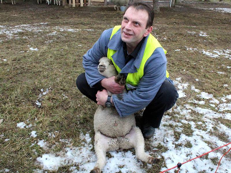 Odsouzený Petr Hokynář složil v Jiřicích zkoušku v oboru chovatel.