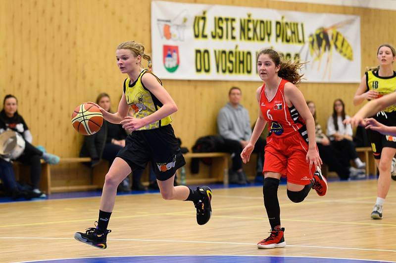 Z basketbalového utkání Středočeského přeboru starších minižákyň U13 Sadská - Mladá Boleslav (119:12)