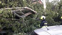 Jednotky HZS Poděbrady, Nymburk a SDH Velké Zboží vyjely k likvidaci stromu, který spadl na osobní automobil a částečně na dům.