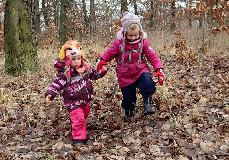 Už několik let jsou populární takzvané lesní školky a kluby, kde děti tráví většinu dne v přírodě a v pohybu, v každém ročním období a počasí.