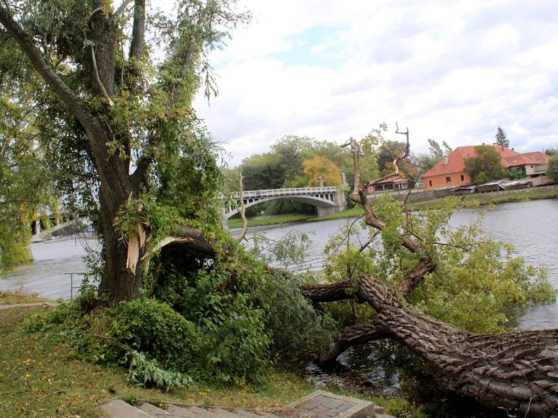 Dva stromy spadly na molo u parkoviště pod Eliškou v Nymburce.