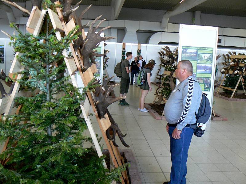 Jedna z každoročně nejnavštěvovanějších výstav v Lysé nad Labem Natura Viva byla slavnostně zahájena.