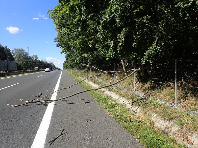 Nejčastěji hasiči likvidovali popadané stromy a ulámané větvě z pozemních komunikací.