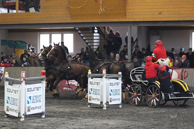 Zimní jezdecký pohár spřežení v Hradištku - Petr Vlašic.