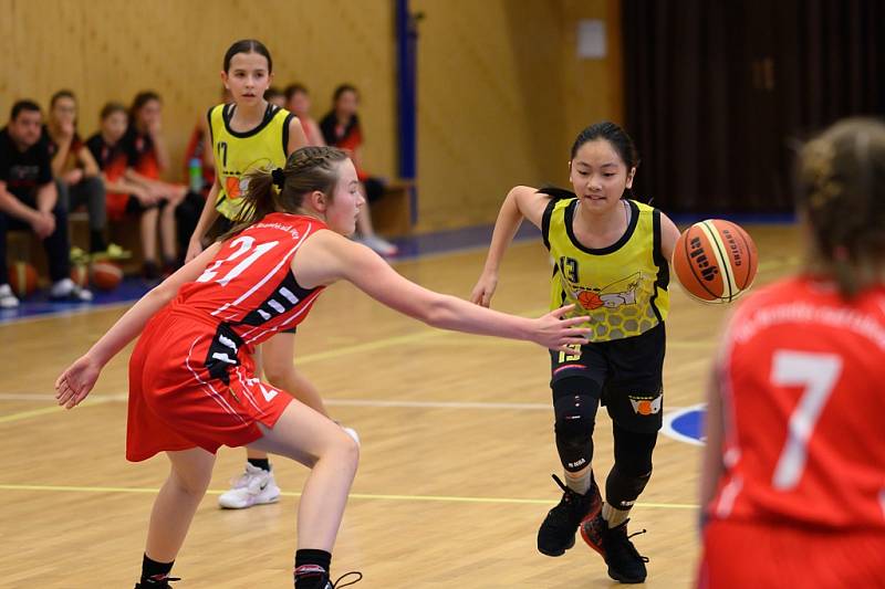 Z basketbalového utkání Středočeského přeboru starších minižákyň U13 Sadská - Mladá Boleslav (119:12)