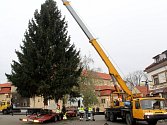 Vánoční smrk ze Sokolče už zdobí Jiřího náměstí v Poděbradech.