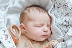 Kristýna Peroutková se narodila v nymburské porodnici 27. prosince 2022 v 8:42 hodin s váhou 3630 g a mírou 49 cm. Do Peček holčička odjela s maminkou Dominikou, tatínkem Janem a sestřičkou Viktorii (1,5 roku).